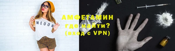 сатива Верея