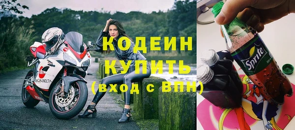 сатива Верея