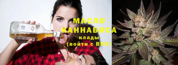 сатива Верея